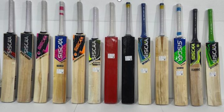 Picking the Perfect Cricket Bat: A Buyer’s Guide for Players of All Levels